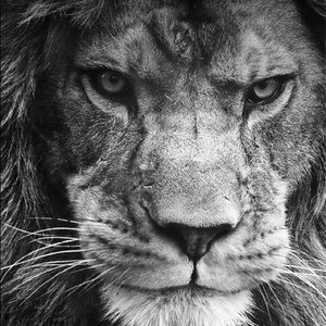 Meet your Posher, Sam